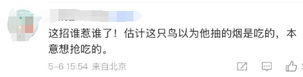 “头剧痛！”男子路边抽烟，后脑勺被猛禽袭击！网友：都说了抽烟有害健康