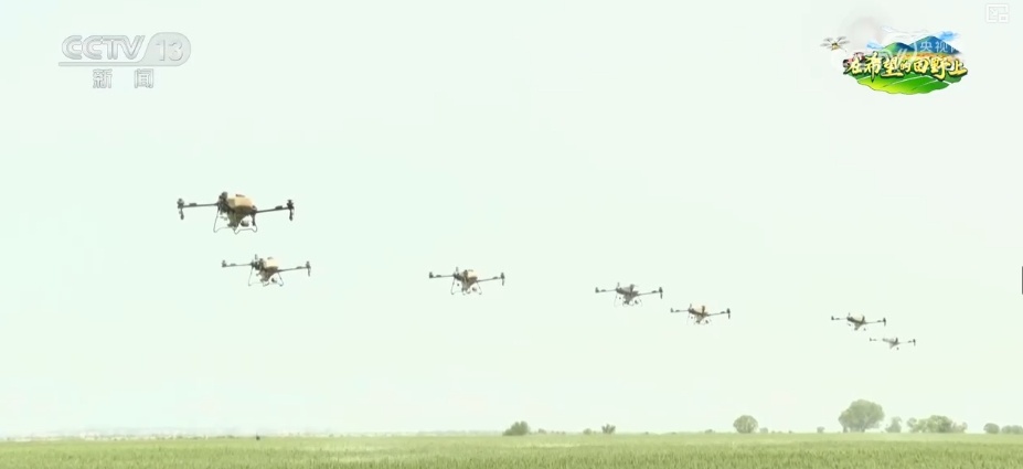 无人机当起“营养师”、“龙门吊”高效运秧 智慧农业夯实粮食丰产基础