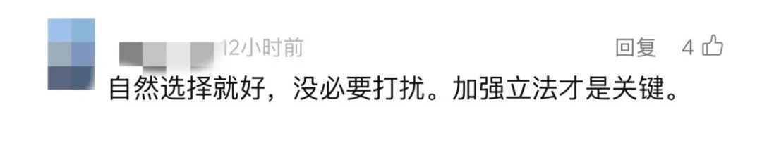 太过珍稀，全国仅剩1只！悬赏10万寻找