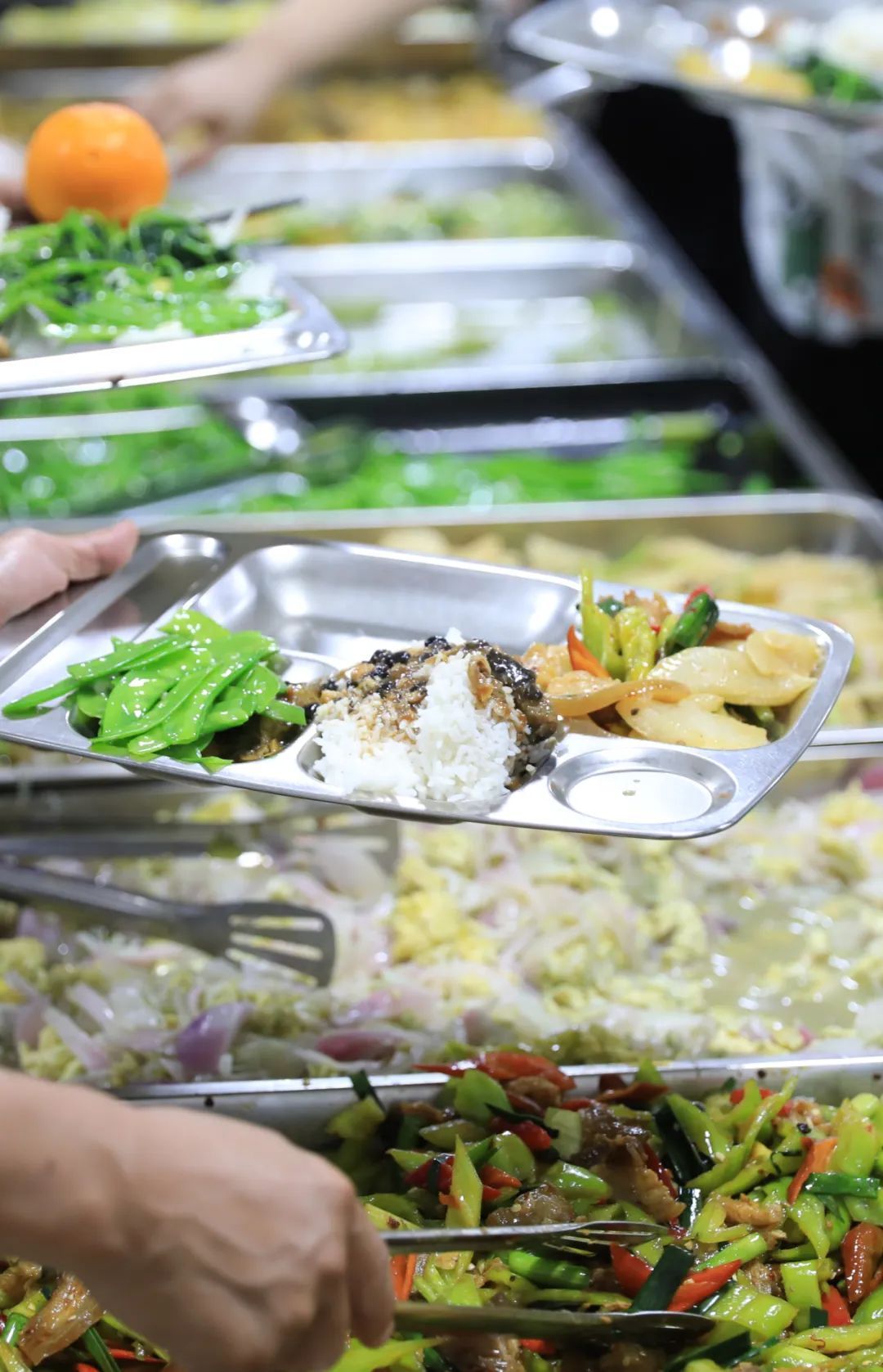 套餐15元起！三亚2处机关食堂今起对外开放