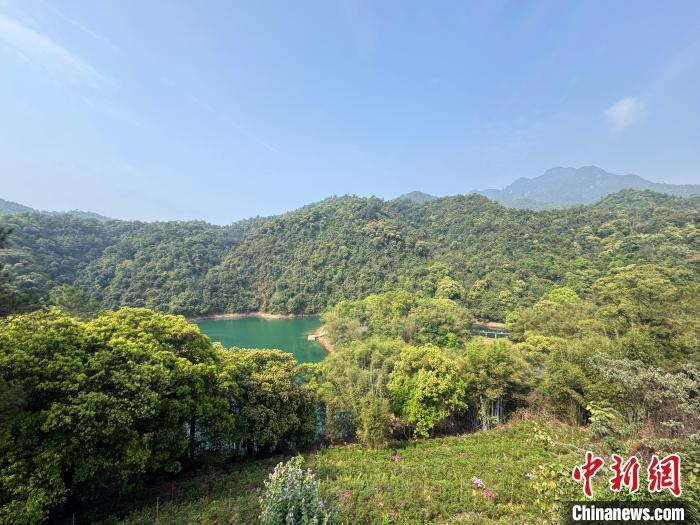 鼎湖山自然保护区：守护中华穿山甲 绘制全球生物地图