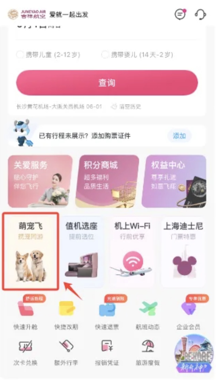 最贵近2000元！带“毛孩子”坐飞机不便宜，你愿意买单吗？