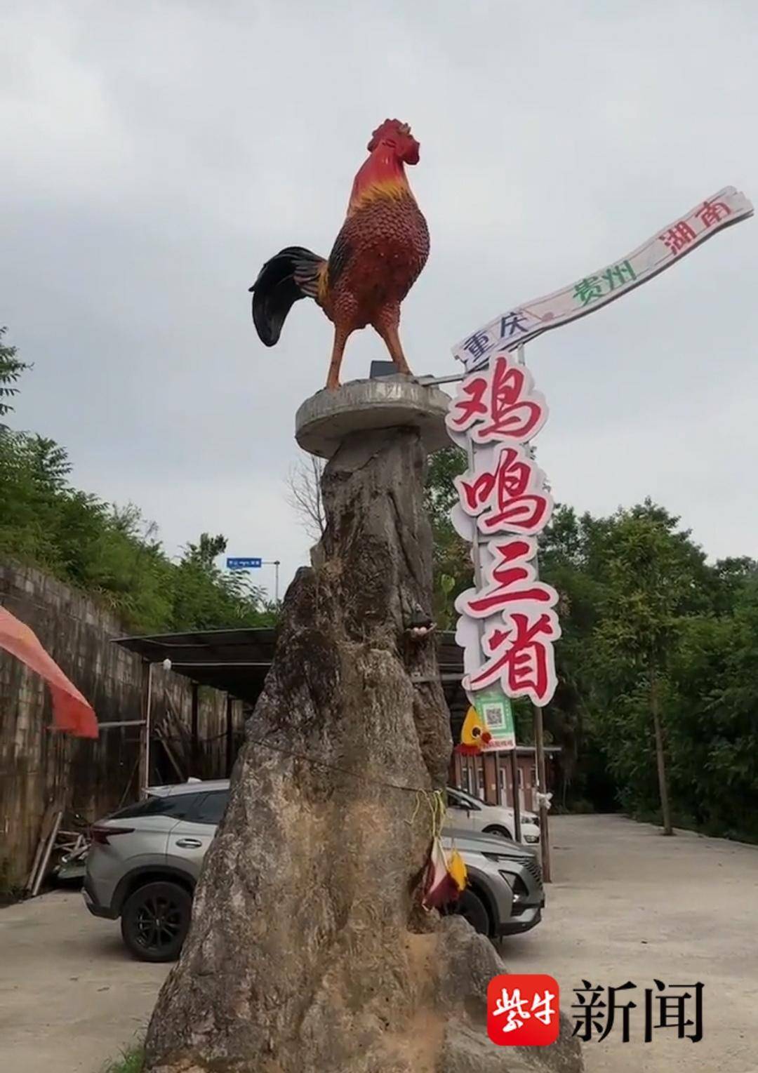 农家乐“鸡鸣三省”火爆网络，最多时一天近千人扫码听鸡叫