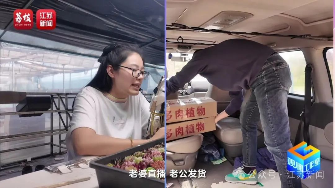 2片叶子竟价值过万!90后花农专门研究植物界潮玩 2片叶子竟价值过万!90后花农专门研究植物界潮玩