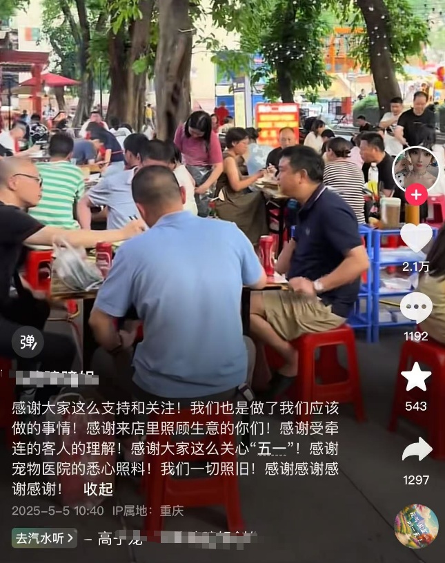 小猫掉进露天火锅病情恶化离世，涉事店铺店主做法获点赞