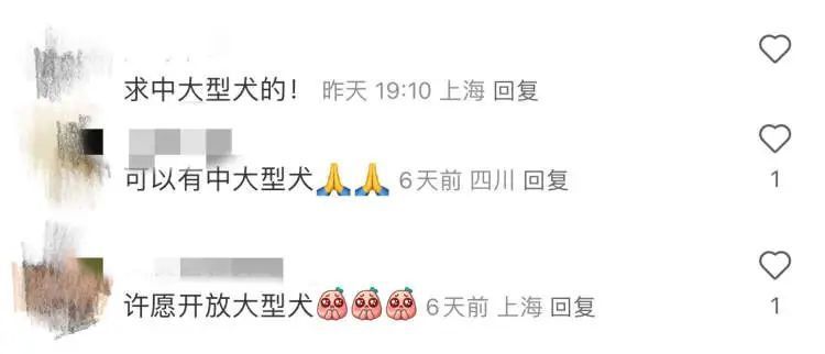 最贵近2000元！带“毛孩子”坐飞机不便宜，你愿意买单吗？