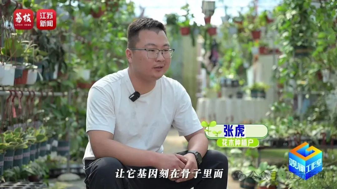 2片叶子竟价值过万!90后花农专门研究植物界潮玩 2片叶子竟价值过万!90后花农专门研究植物界潮玩