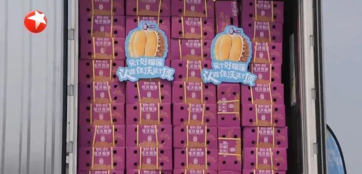 再忍一忍！这个月价格就会跌！“贵族”马上变“平民”→