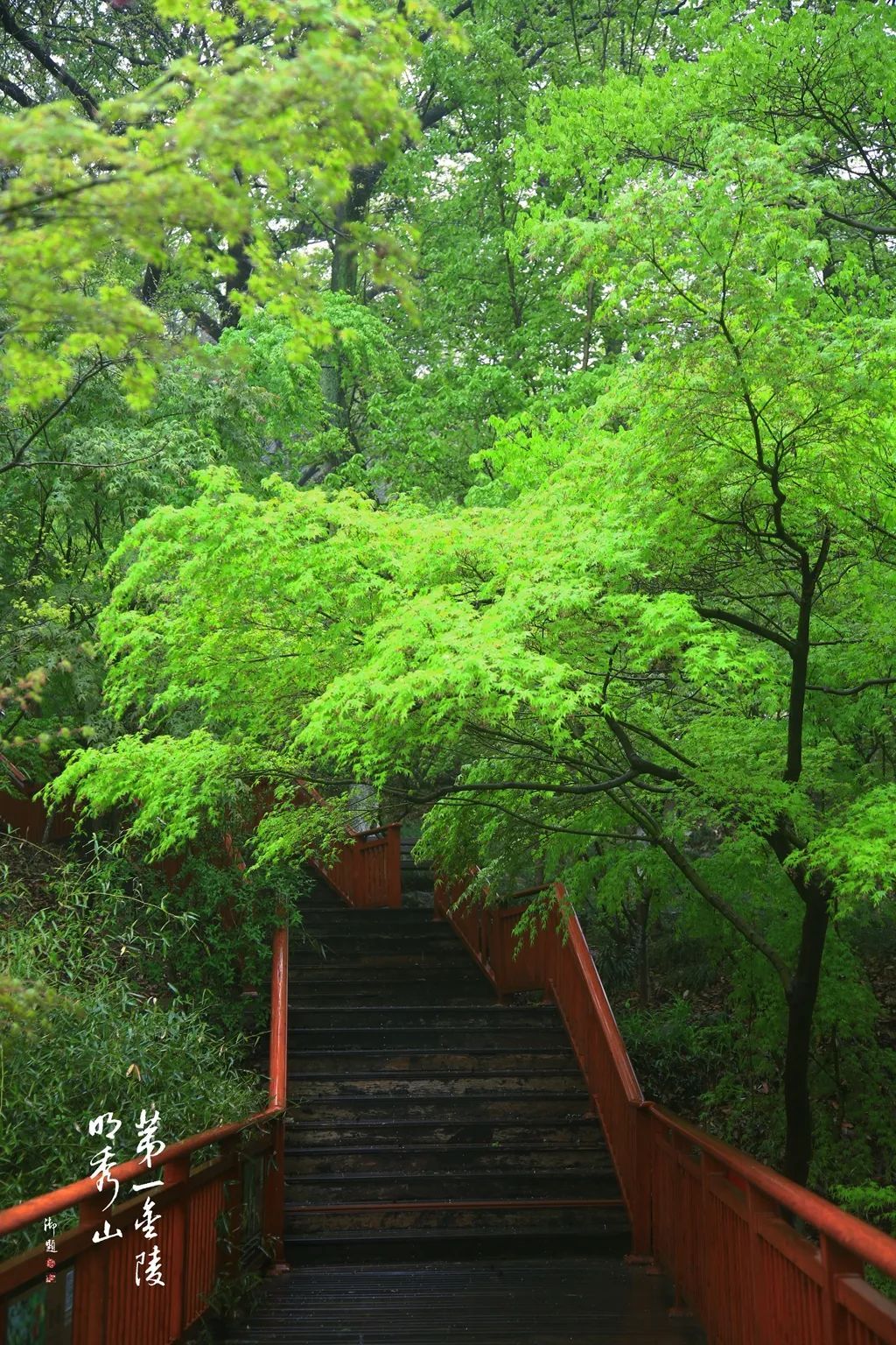 5月，南京这些景区迎免费开放日