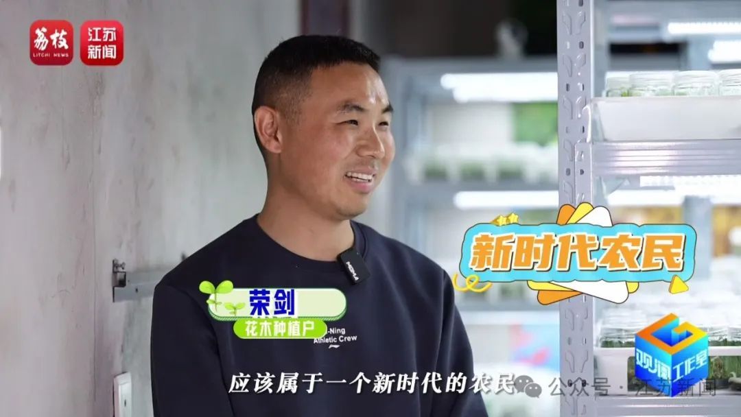 2片叶子竟价值过万!90后花农专门研究植物界潮玩 2片叶子竟价值过万!90后花农专门研究植物界潮玩