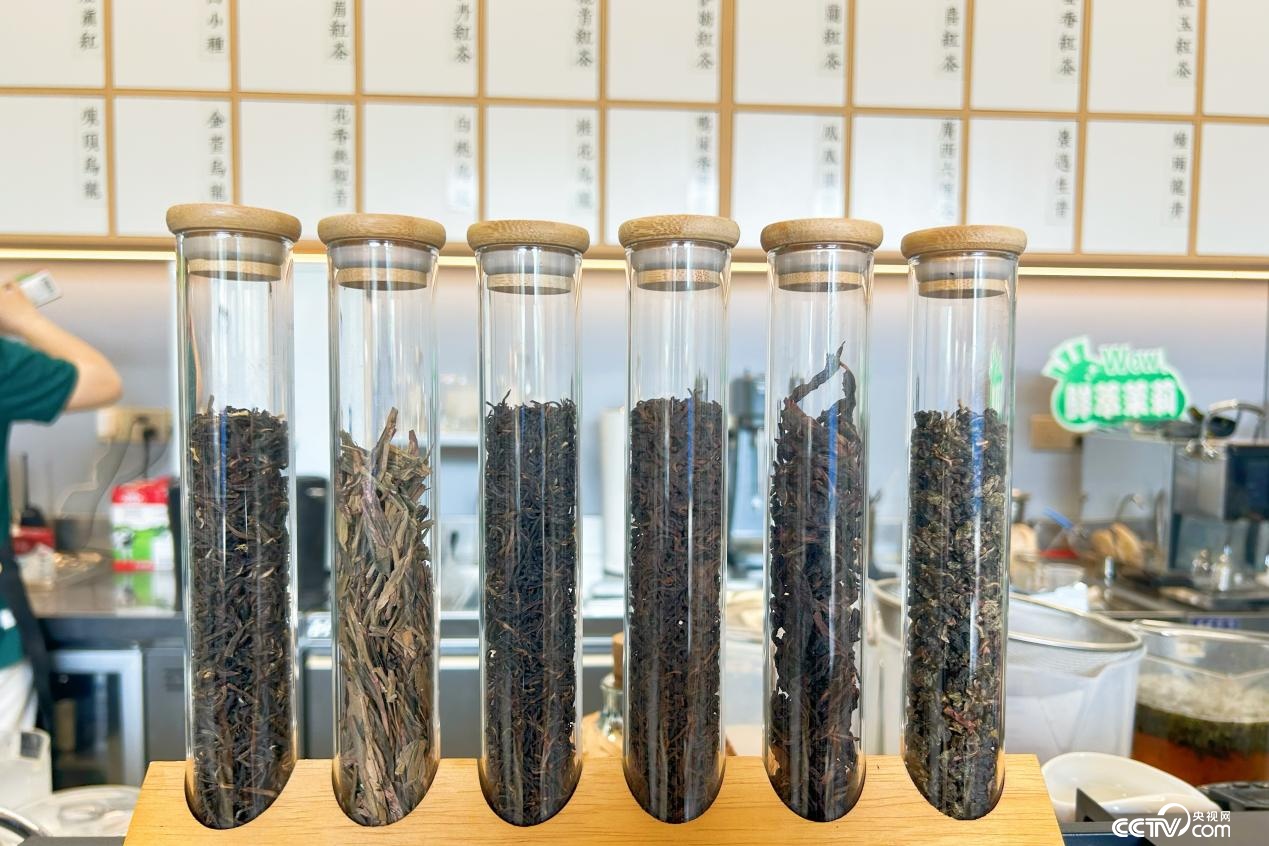 广西横州：茉莉飘香筑起百亿级全产业链生态圈