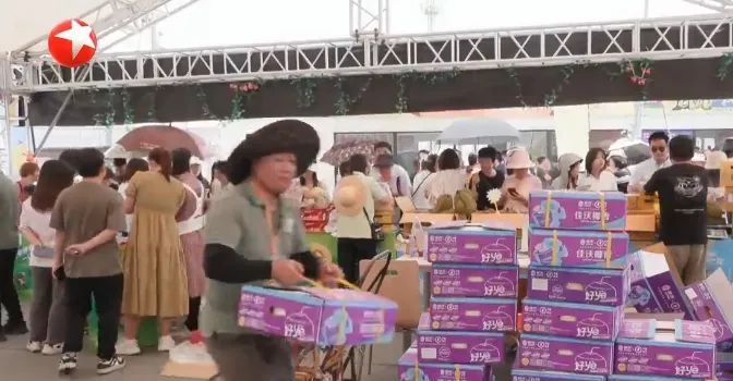 再忍一忍！这个月价格就会跌！“贵族”马上变“平民”→