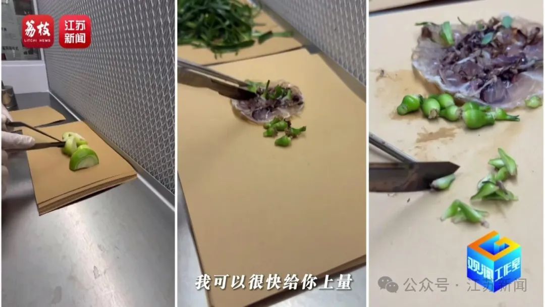 2片叶子竟价值过万!90后花农专门研究植物界潮玩 2片叶子竟价值过万!90后花农专门研究植物界潮玩