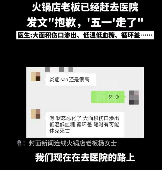 小猫掉进露天火锅病情恶化离世，涉事店铺店主做法获点赞