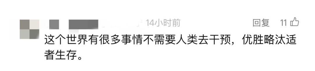 太过珍稀，全国仅剩1只！悬赏10万寻找