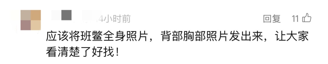 太过珍稀，全国仅剩1只！悬赏10万寻找