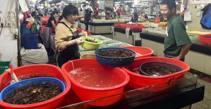 价格腰斩！一天卖出200多斤，这种美味正大量上市！老板：再等等，还会降