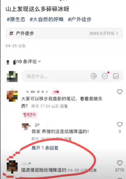 青岛女子野外发现大量碎冰冰 养猪场释疑野外现碎冰冰系生猪降温