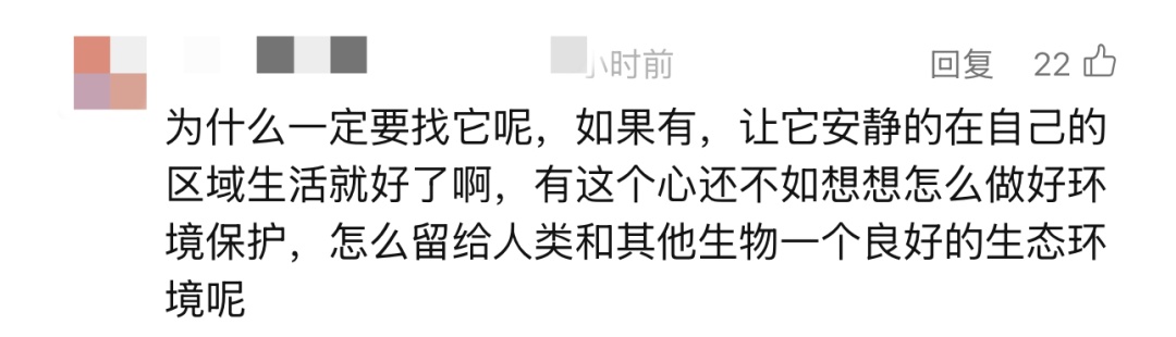 太过珍稀，全国仅剩1只！悬赏10万寻找