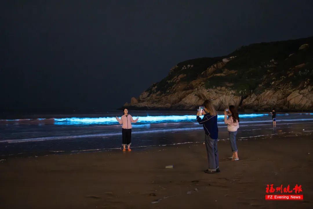 超梦幻！福州“蓝眼泪”上线！