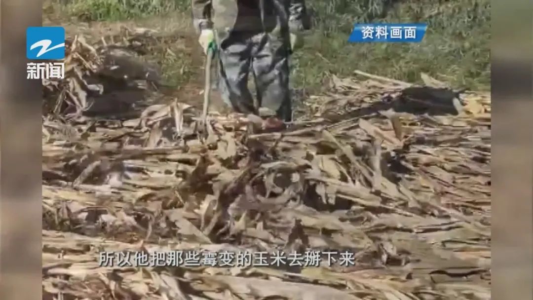 女子高烧40℃不退！一查元凶竟然就在身边，马上迎来一年中的高峰期