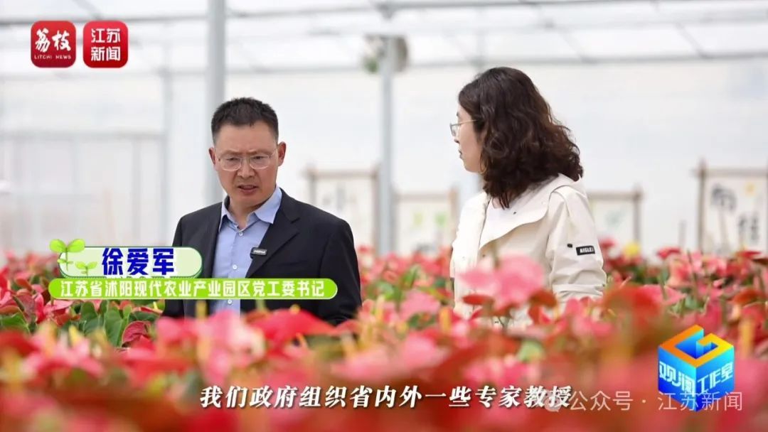 2片叶子竟价值过万!90后花农专门研究植物界潮玩 2片叶子竟价值过万!90后花农专门研究植物界潮玩