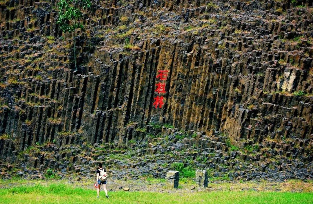 5月，南京这些景区迎免费开放日