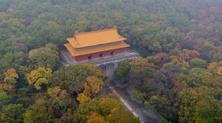 南京明孝陵石兽“到此一游”涂鸦已清除