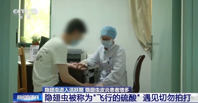 别拍打！“飞行硫酸”隐翅虫进入活跃期 防范指南请查收