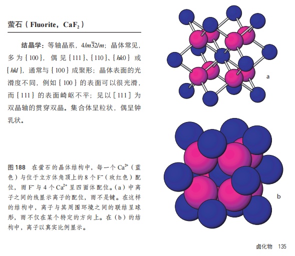 蝌学荐书丨什么是一眼“大开门”的宝石？