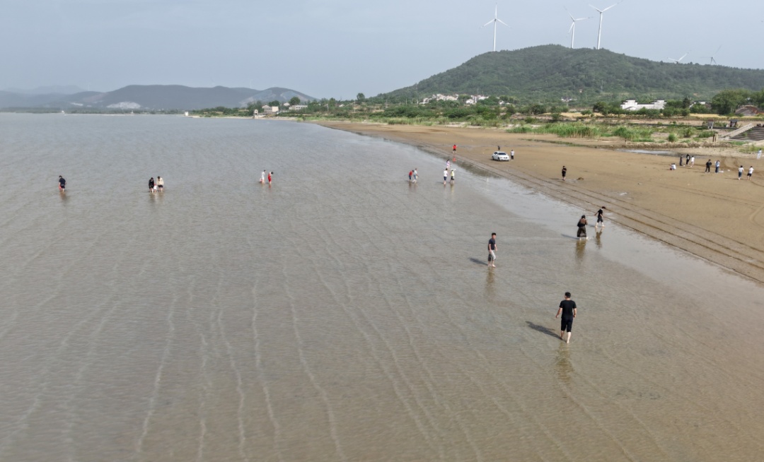 悄然走红！合肥有处天然沙滩！