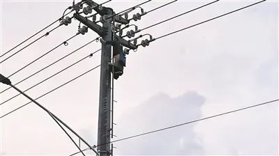真悬！温州一男子爬电线杆掏鸟窝，遭遇电击倒挂在空中……