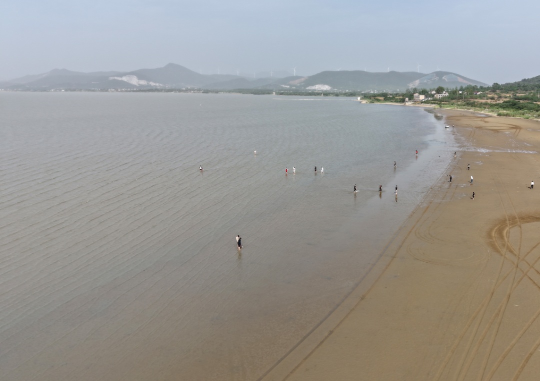 悄然走红！合肥有处天然沙滩！