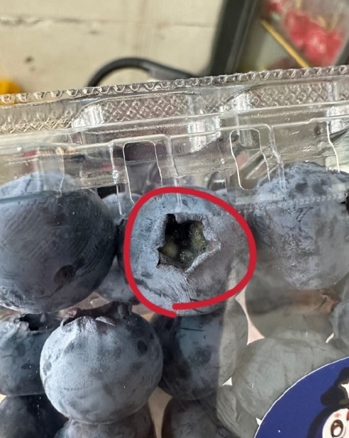 这种水果“肚脐眼”有霉菌?吃前注意查看这个位置 这种水果“肚脐眼”有霉菌?吃前注意查看这个位置