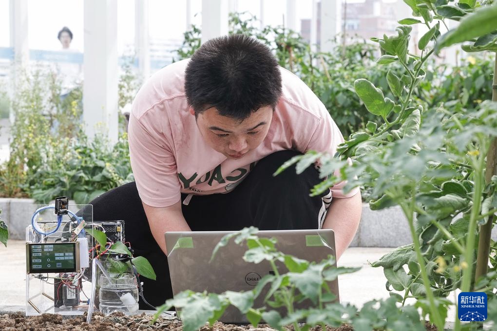 绿色技能助力绿色经济人才培养