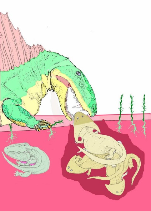 一年只吃两顿饭，半年都在睡大觉，赖床是祖传的？