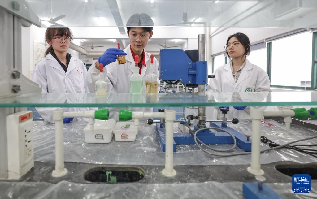 绿色技能助力绿色经济人才培养