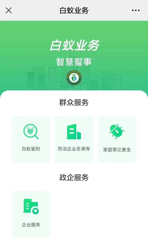 又到白蚁出没高峰期，这份应对指南请收好