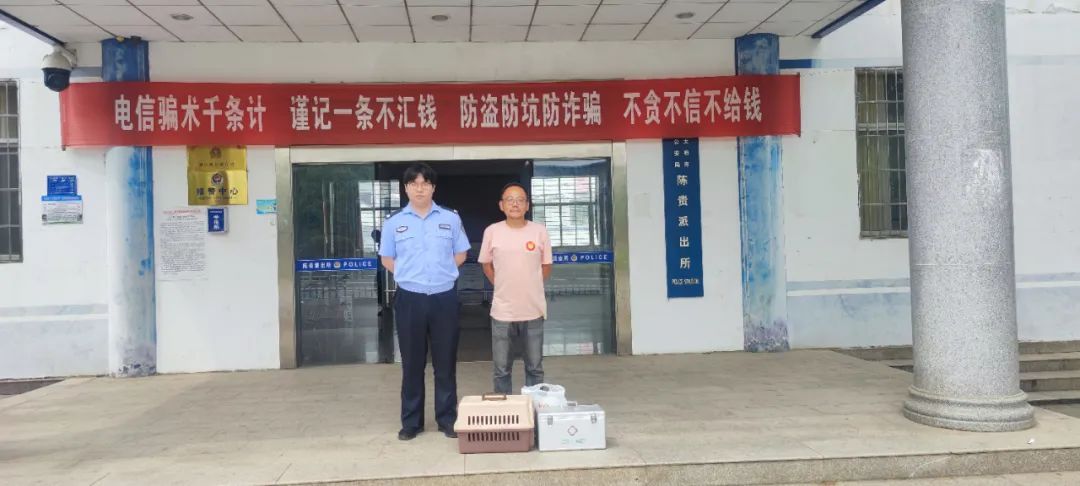 保护受伤夜鹭，他们都是“热心肠”！网友：做好事真的会很开心！