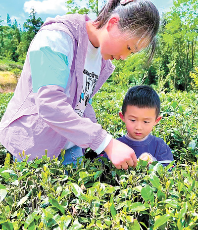 中小学春秋假，如何放得好推得开？
