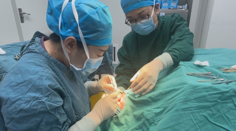 13岁男孩眼睛里住了80多只螨虫！医生提醒