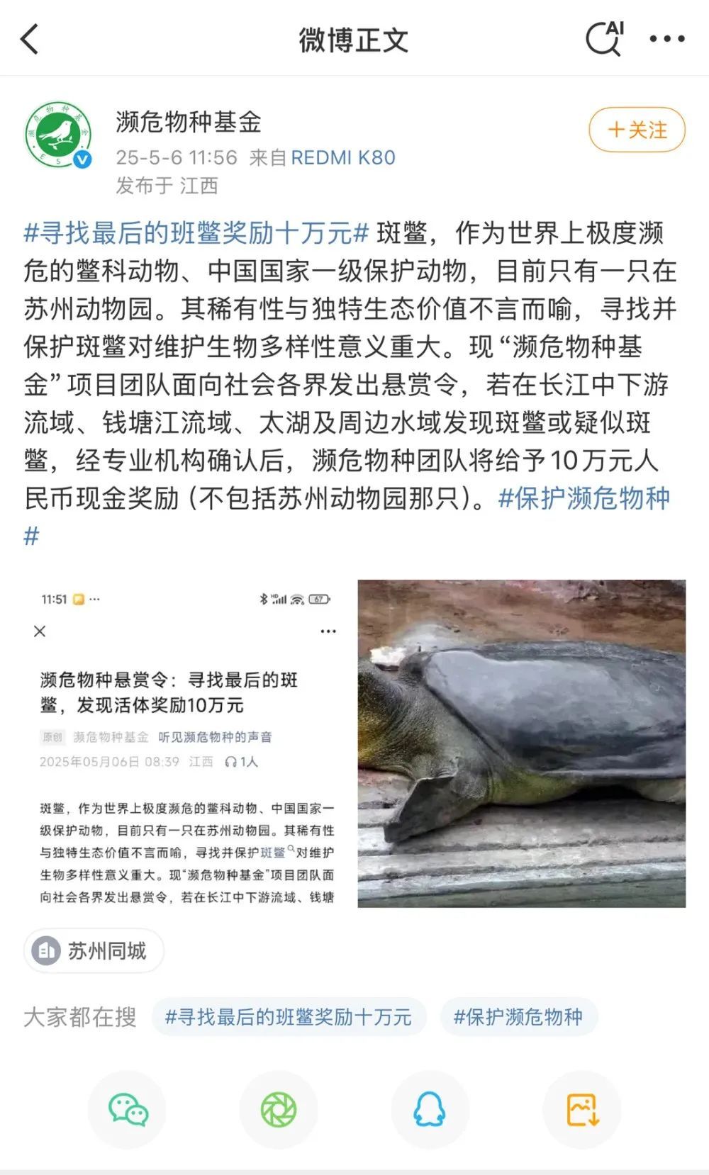悬赏10万寻找，比大熊猫更濒危，全国仅剩1只