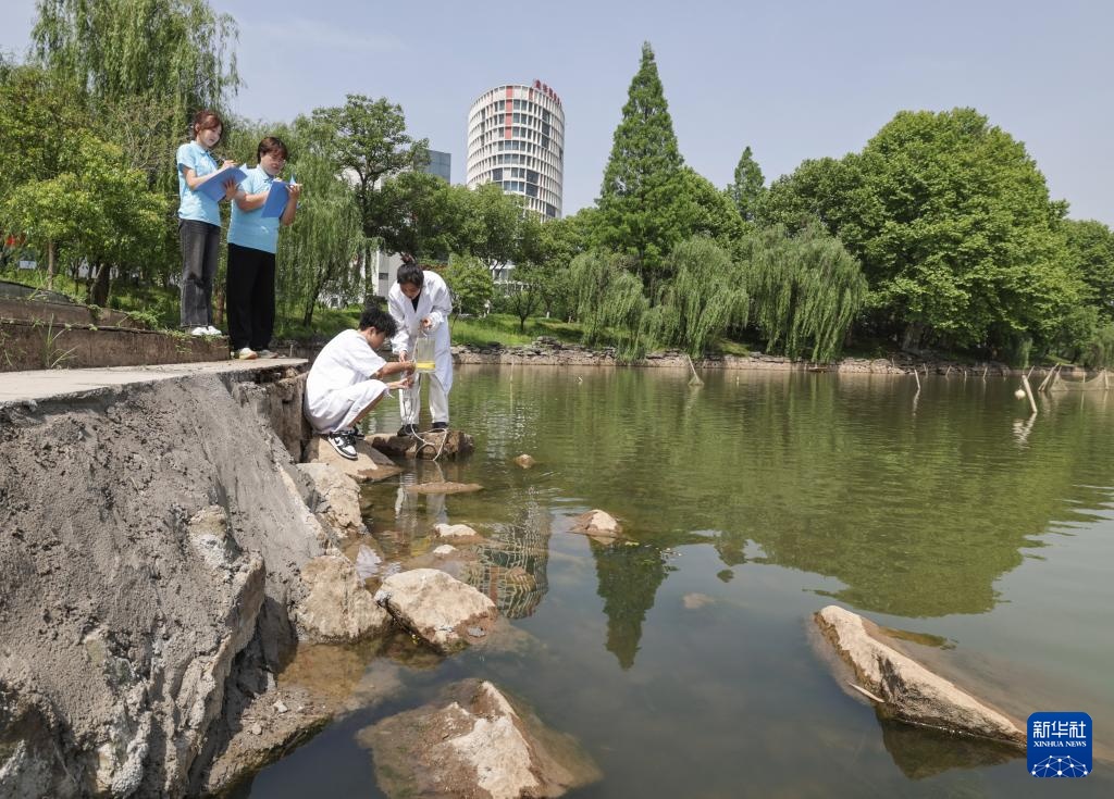 绿色技能助力绿色经济人才培养