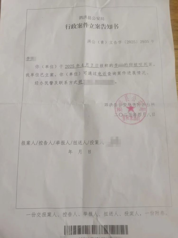 江苏两男子深夜纵犬撕咬宠物狗致死，狗主人：太恶劣，不接受和解