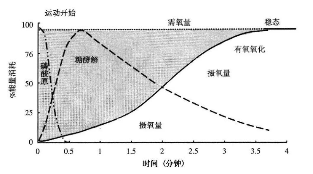 BMI不再权威？和体脂率相比，哪个更靠谱？