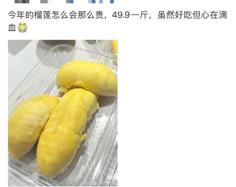榴莲“贵到肉痛”！杭州老板目前不太敢进货：再忍一忍，即将大降价……