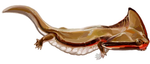 一年只吃两顿饭，半年都在睡大觉，赖床是祖传的？