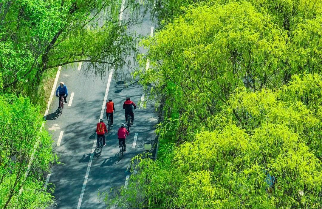 雨过天晴一键切换 “夏模式”？辽宁即将开启跨季式升温→