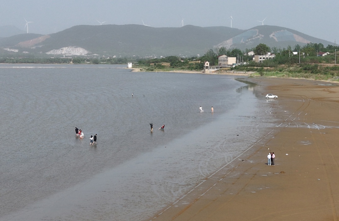 悄然走红！合肥有处天然沙滩！