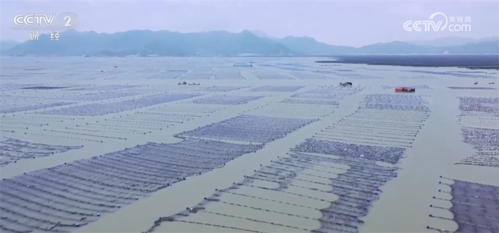 广袤田野向“智”而行绘就“科技兴农”新图景 好“丰”光传递新希望